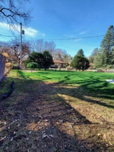 Cedar tree removal service in Windsor Heights, IA by Des Moines Tree Service